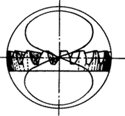 �X݆�����g(sh��)�Z�F�X݆����(zh��n)�p�����X݆�����X݆��