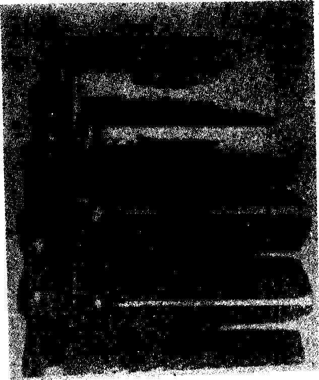 �Ɖ����z��