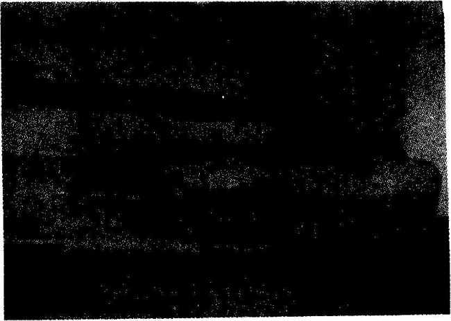 �S�C����