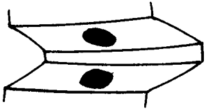 �F�X݆�͜��p�����X݆�g�Z�ӹ�������݆�X���|���z���ԇ�