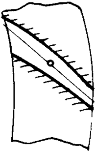 �F�X݆�͜��p�����X݆�g�Z�OӋӋ���c�{��Ӌ��