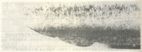 失效的形式與判據(jù)