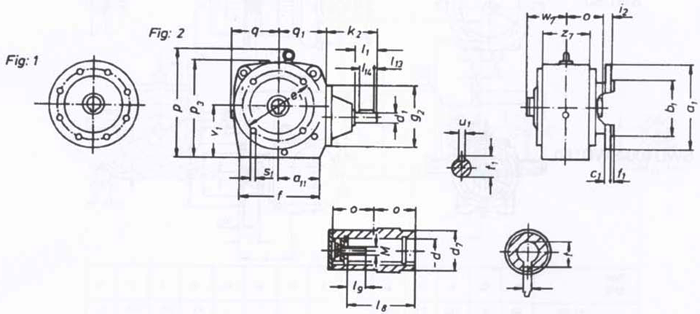 SW斜齒輪—蝸輪蝸桿減速電機(jī)